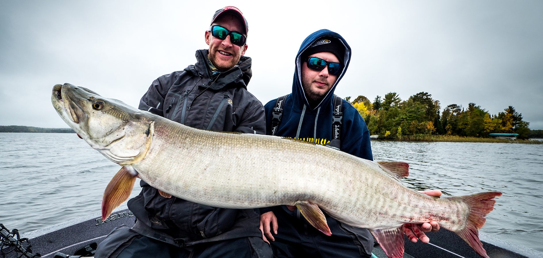 Minnesota muskie fishing guide Lake Vermilion