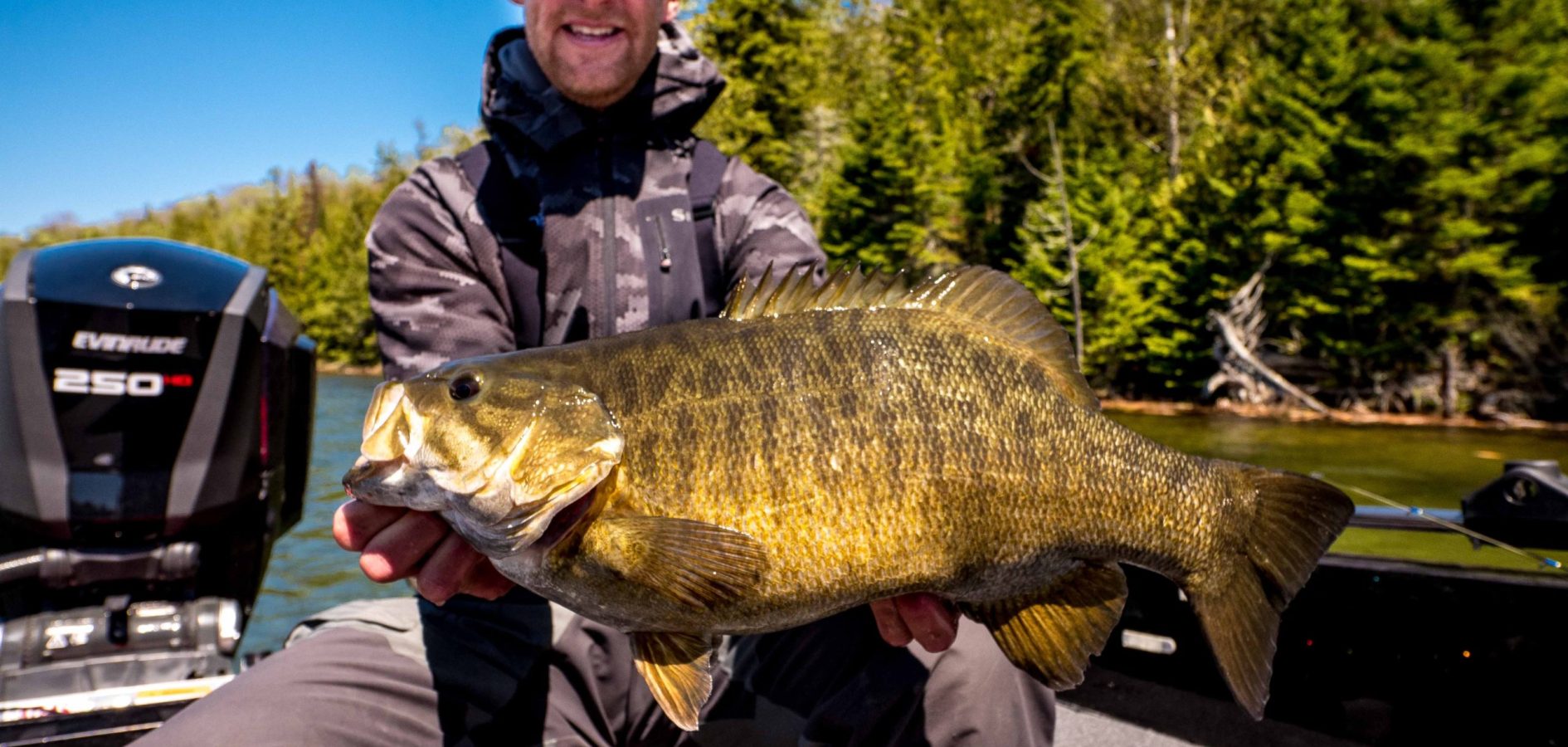 Minnesota and Wisconsin bass fishing guide